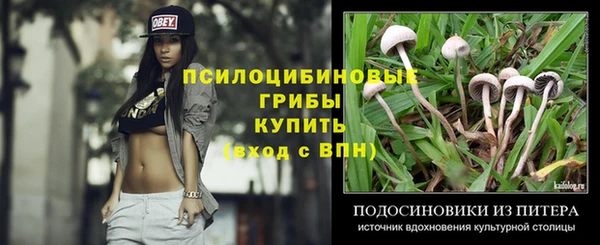тгк Беломорск